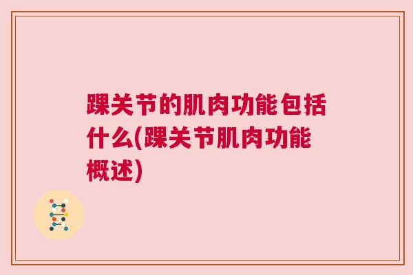 踝关节的肌肉功能包括什么(踝关节肌肉功能概述)