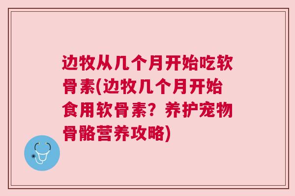 边牧从几个月开始吃软骨素(边牧几个月开始食用软骨素?养护宠物骨骼营养攻略)