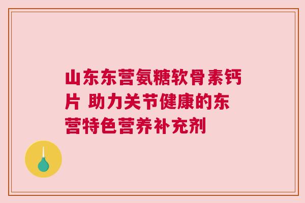 山东东营氨糖软骨素钙片 助力关节健康的东营特色营养补充剂