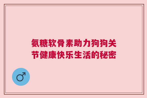 氨糖软骨素助力狗狗关节健康快乐生活的秘密
