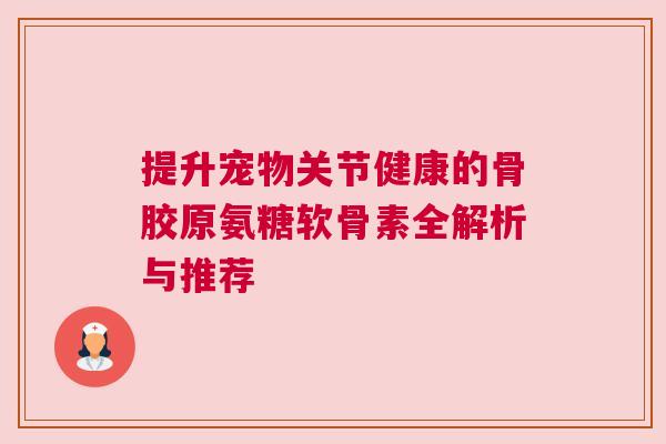 提升宠物关节健康的骨胶原氨糖软骨素全解析与推荐