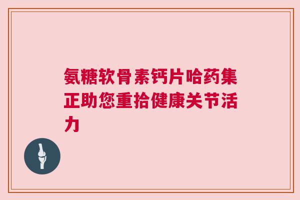氨糖软骨素钙片哈药集正助您重拾健康关节活力 氨糖软骨素钙片哈药集正助您重拾健康关节活力