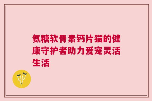 氨糖软骨素钙片猫的健康守护者助力爱宠灵活生活