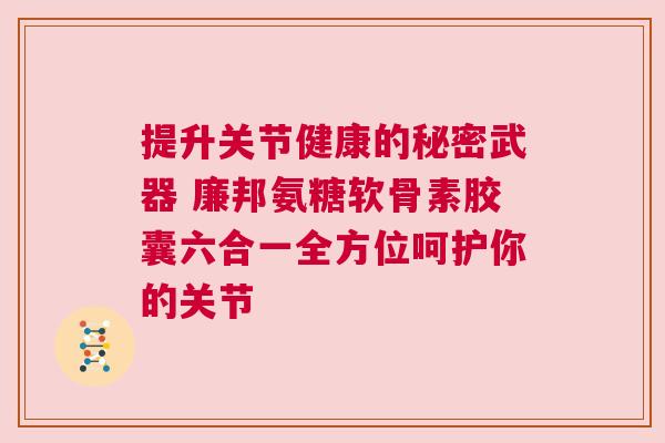 提升关节健康的秘密武器 廉邦氨糖软骨素胶囊六合一全方位呵护你的关节