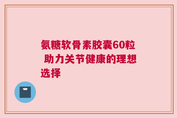 氨糖软骨素胶囊60粒 助力关节健康的理想选择