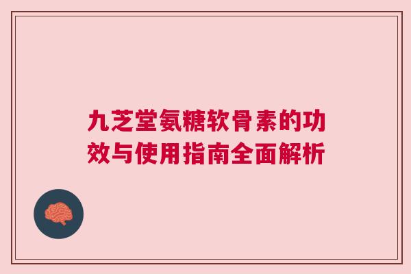 九芝堂氨糖软骨素的功效与使用指南全面解析
