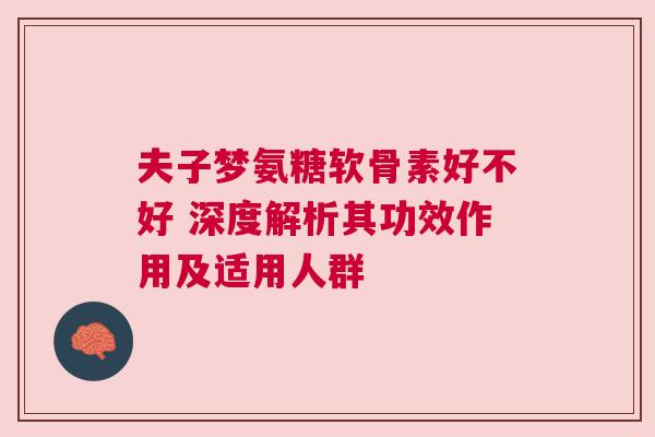 夫子梦氨糖软骨素好不好 深度解析其功效作用及适用人群