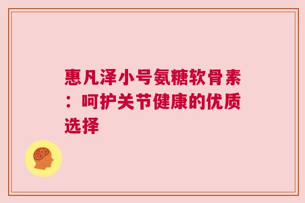 惠凡泽小号氨糖软骨素:呵护关节健康的优质选择