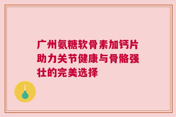 广州氨糖软骨素加钙片助力关节健康与骨骼强壮的完美选择 广州氨糖软骨素加钙片助力关节健康与骨骼强壮的完美选择
