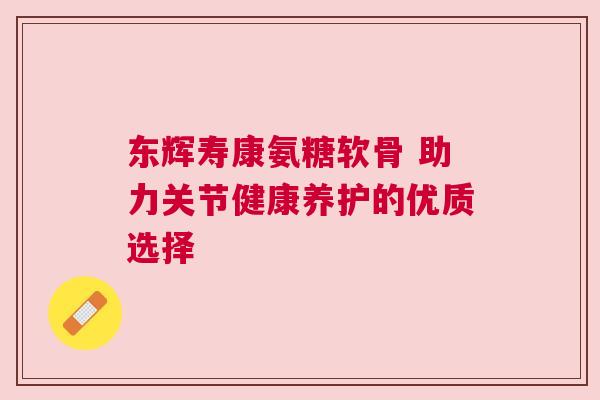 东辉寿康氨糖软骨 助力关节健康养护的优质选择