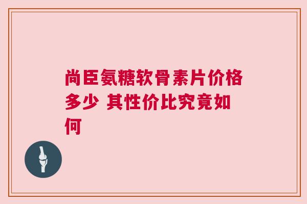尚臣氨糖软骨素片价格多少 其性价比究竟如何