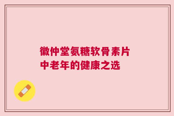 徽仲堂氨糖软骨素片 中老年的健康之选