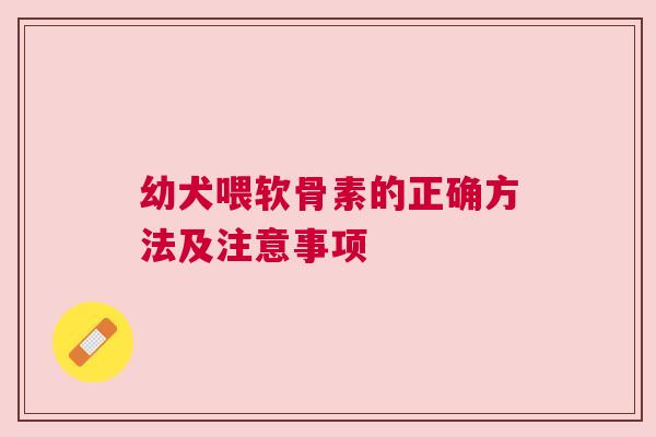 幼犬喂软骨素的正确方法及注意事项