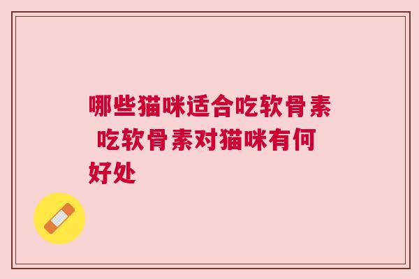 哪些猫咪适合吃软骨素 吃软骨素对猫咪有何好处
