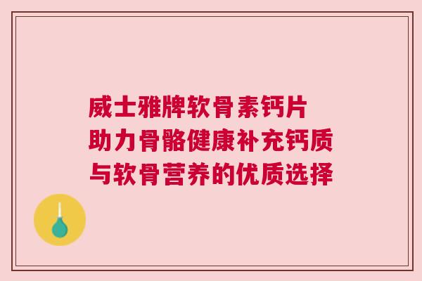 威士雅牌软骨素钙片 助力骨骼健康补充钙质与软骨营养的优质选择