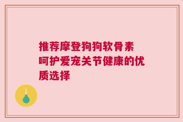 推荐摩登狗狗软骨素 呵护爱宠关节健康的优质选择