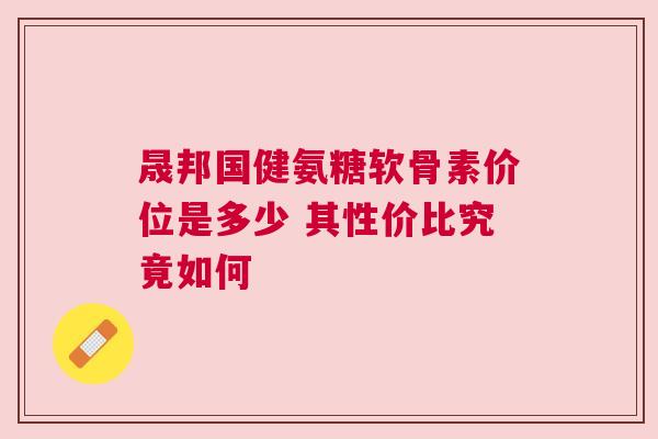 晟邦国健氨糖软骨素价位是多少 其性价比究竟如何