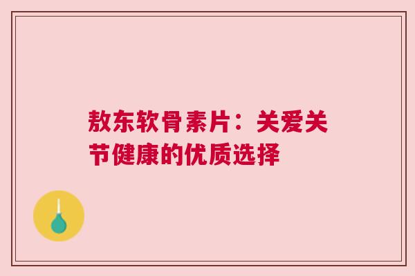 敖东软骨素片：关爱关节健康的优质选择