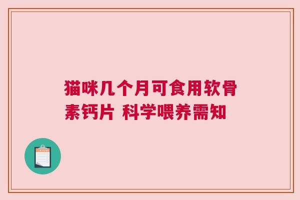 猫咪几个月可食用软骨素钙片 科学喂养需知