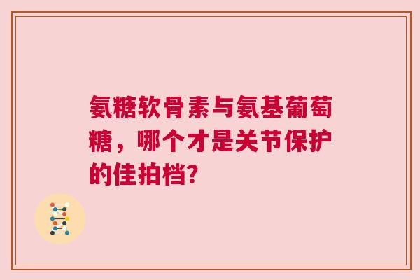 氨糖软骨素与氨基葡萄糖，哪个才是关节保护的佳拍档？