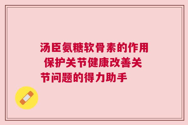 汤臣氨糖软骨素的作用 保护关节健康改善关节问题的得力助手