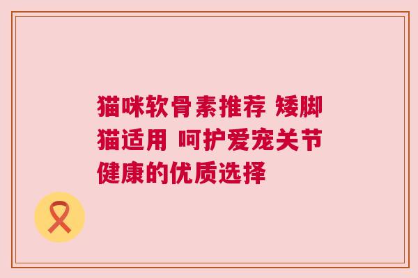 猫咪软骨素推荐 矮脚猫适用 呵护爱宠关节健康的优质选择