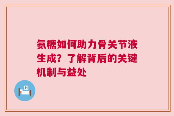 氨糖如何助力骨关节液生成？了解背后的关键机制与益处