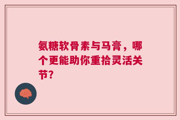 氨糖软骨素与马膏，哪个更能助你重拾灵活关节？