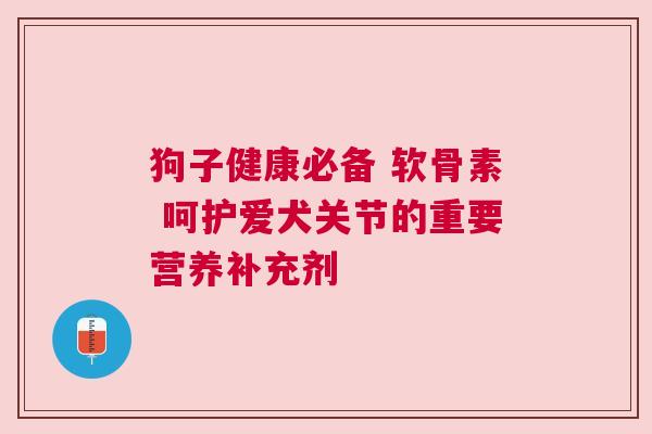 狗子健康必备 软骨素 呵护爱犬关节的重要营养补充剂