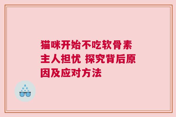 猫咪开始不吃软骨素 主人担忧 探究背后原因及应对方法