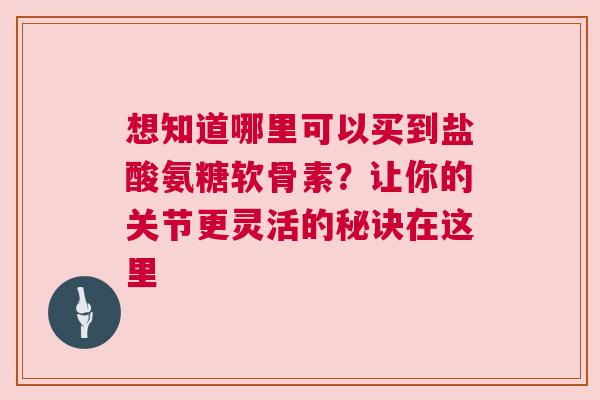 想知道哪里可以买到盐酸氨糖软骨素？让你的关节更灵活的秘诀在这里