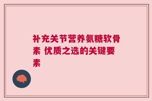 补充关节营养氨糖软骨素 优质之选的关键要素