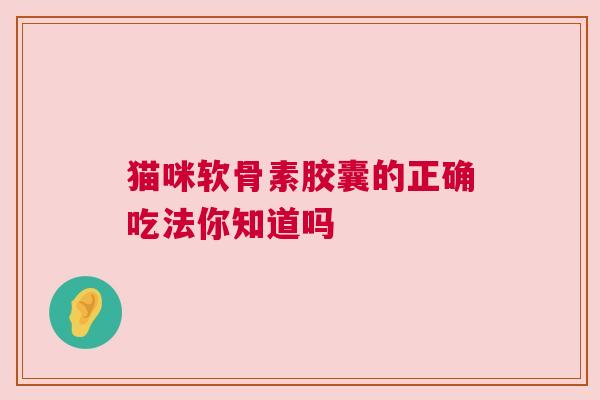 猫咪软骨素胶囊的正确吃法你知道吗