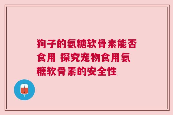 狗子的氨糖软骨素能否食用 探究宠物食用氨糖软骨素的安全性
