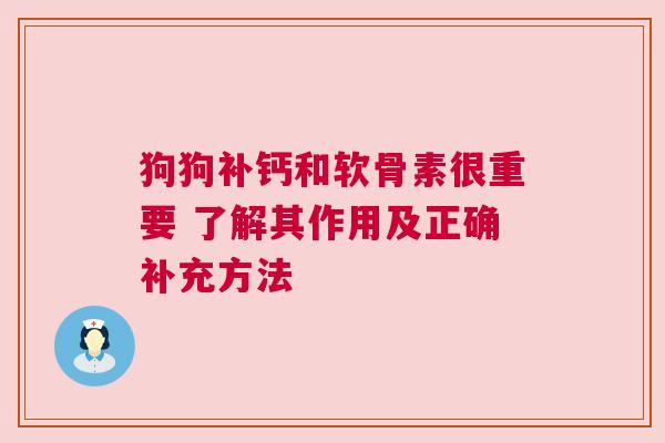 狗狗补钙和软骨素很重要 了解其作用及正确补充方法