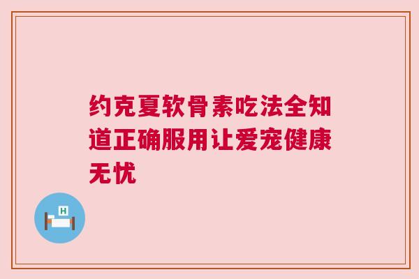 约克夏软骨素吃法全知道正确服用让爱宠健康无忧