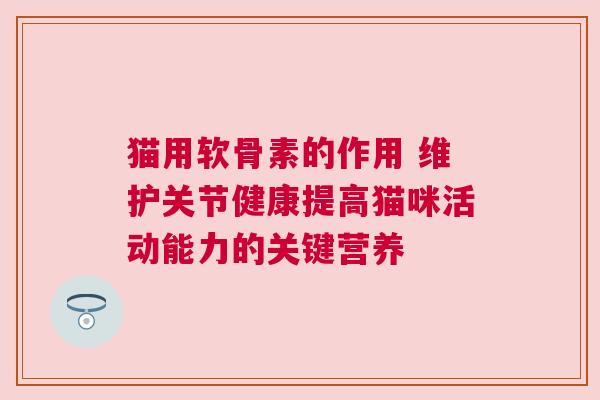 猫用软骨素的作用 维护关节健康提高猫咪活动能力的关键营养