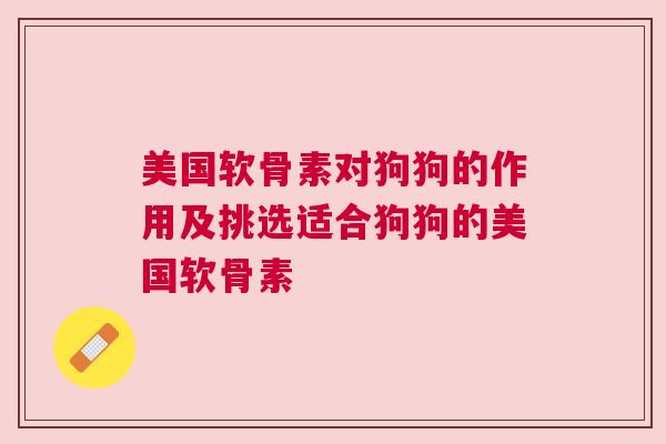 美国软骨素对狗狗的作用及挑选适合狗狗的美国软骨素