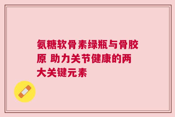 氨糖软骨素绿瓶与骨胶原 助力关节健康的两大关键元素
