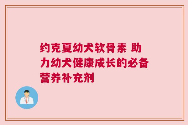 约克夏幼犬软骨素 助力幼犬健康成长的必备营养补充剂
