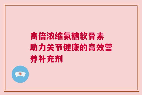 高倍浓缩氨糖软骨素 助力关节健康的高效营养补充剂