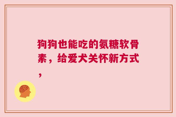 狗狗也能吃的氨糖软骨素，给爱犬关怀新方式，