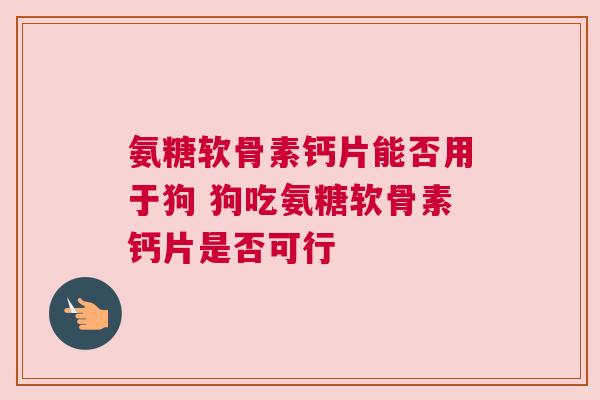 氨糖软骨素钙片能否用于狗 狗吃氨糖软骨素钙片是否可行