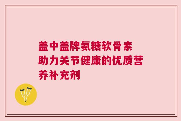 盖中盖牌氨糖软骨素 助力关节健康的优质营养补充剂
