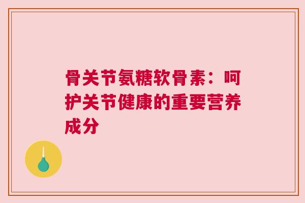 骨关节氨糖软骨素：呵护关节健康的重要营养成分