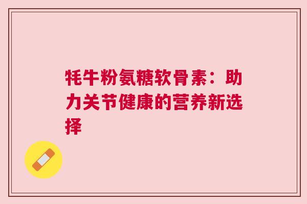 牦牛粉氨糖软骨素：助力关节健康的营养新选择