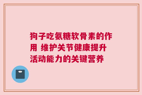狗子吃氨糖软骨素的作用 维护关节健康提升活动能力的关键营养