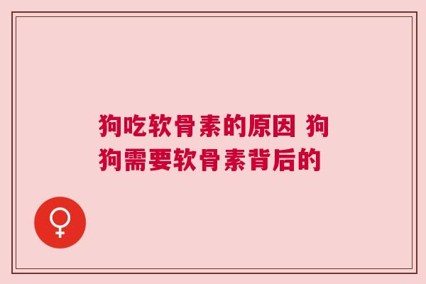 狗吃软骨素的原因 狗狗需要软骨素背后的
