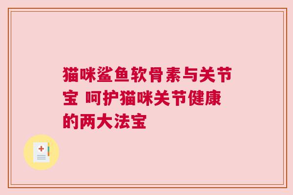 猫咪鲨鱼软骨素与关节宝 呵护猫咪关节健康的两大法宝