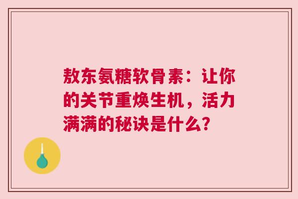 敖东氨糖软骨素：让你的关节重焕生机，活力满满的秘诀是什么？